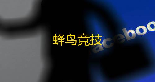 地铁逃生辅助器下载蜂鸟竞技