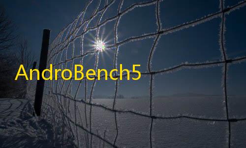 地铁逃生直装卡网AndroBench5.1